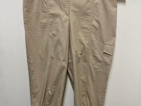 Pants Other By Chicos In Brown, Size: 14 Hot on Sale