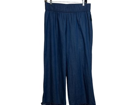 Jeans Wide Leg By Attyre In Denim, Size: 10 For Sale