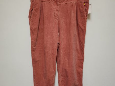 Pants Joggers By Anthropologie In Pink, Size: 16 Online Hot Sale