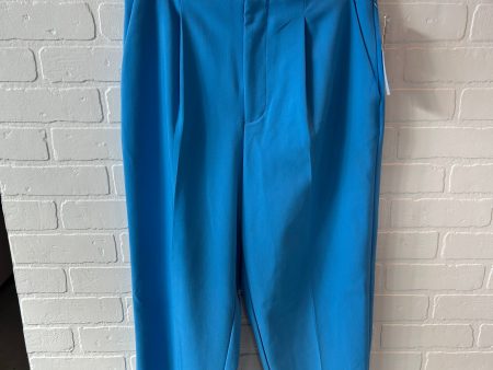 Pants Other By A New Day In Blue, Size: 10 Cheap