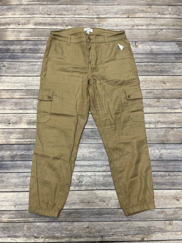 Pants Joggers By Evereve In Brown, Size: 12 For Cheap