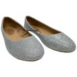 Shoes Flats By Clothes Mentor In Silver, Size: 8.5 For Discount