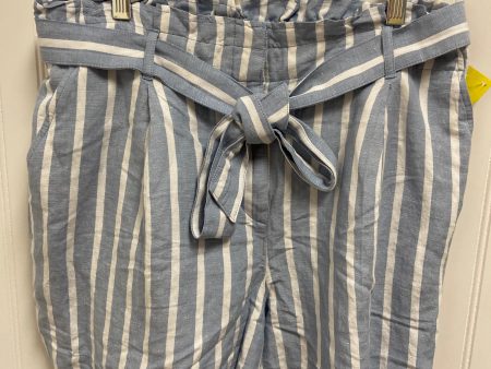 Shorts By Loft In Blue & White, Size: 8 Online Sale