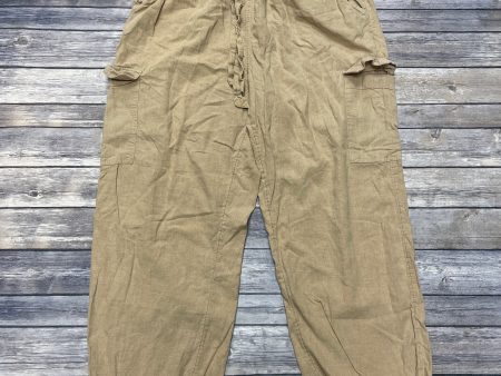 Pants Joggers By Aerie In Tan, Size: L Online now