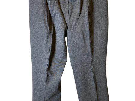 Pants Other By Clothes Mentor In Grey, Size: Xl Fashion