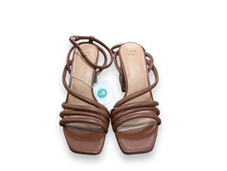 Shoes Heels Block By A New Day In Brown, Size: 9.5 Online Sale