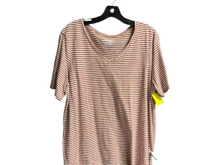 Top Short Sleeve Basic By Chicos In Striped Pattern, Size: Xl Online now