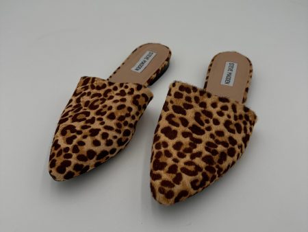 Shoes Flats By Steve Madden In Animal Print, Size: 9 Hot on Sale