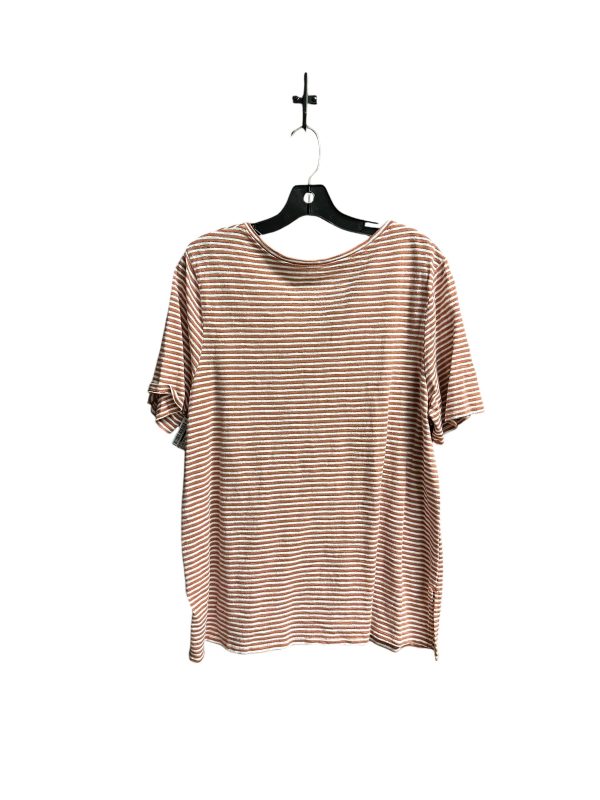 Top Short Sleeve Basic By Chicos In Striped Pattern, Size: Xl Online now